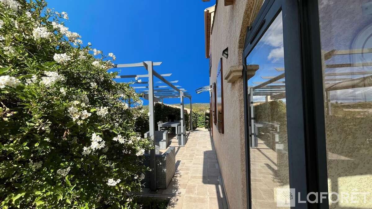 Maison à FRONTIGNAN
