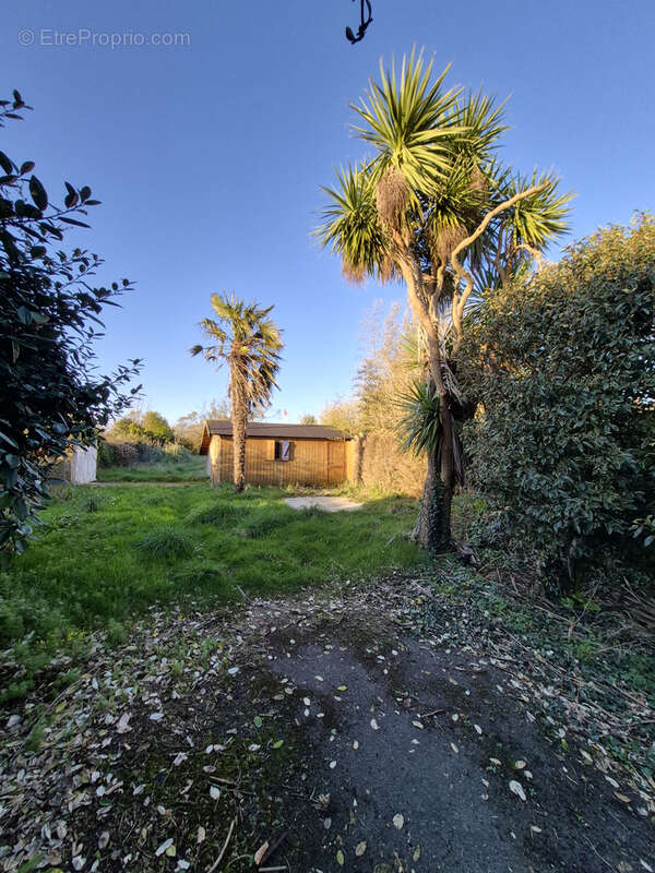 Maison à SAINT-POL-DE-LEON