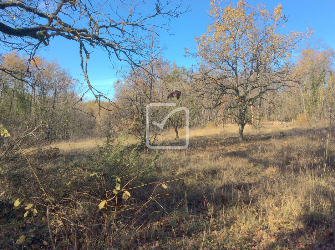Terrain à CHARTRIER-FERRIERE