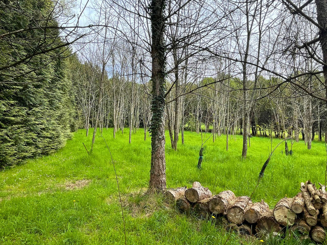 Maison à CHERVES-RICHEMONT