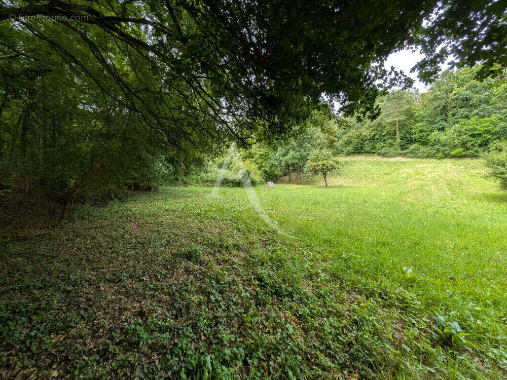 Terrain à ONZAIN