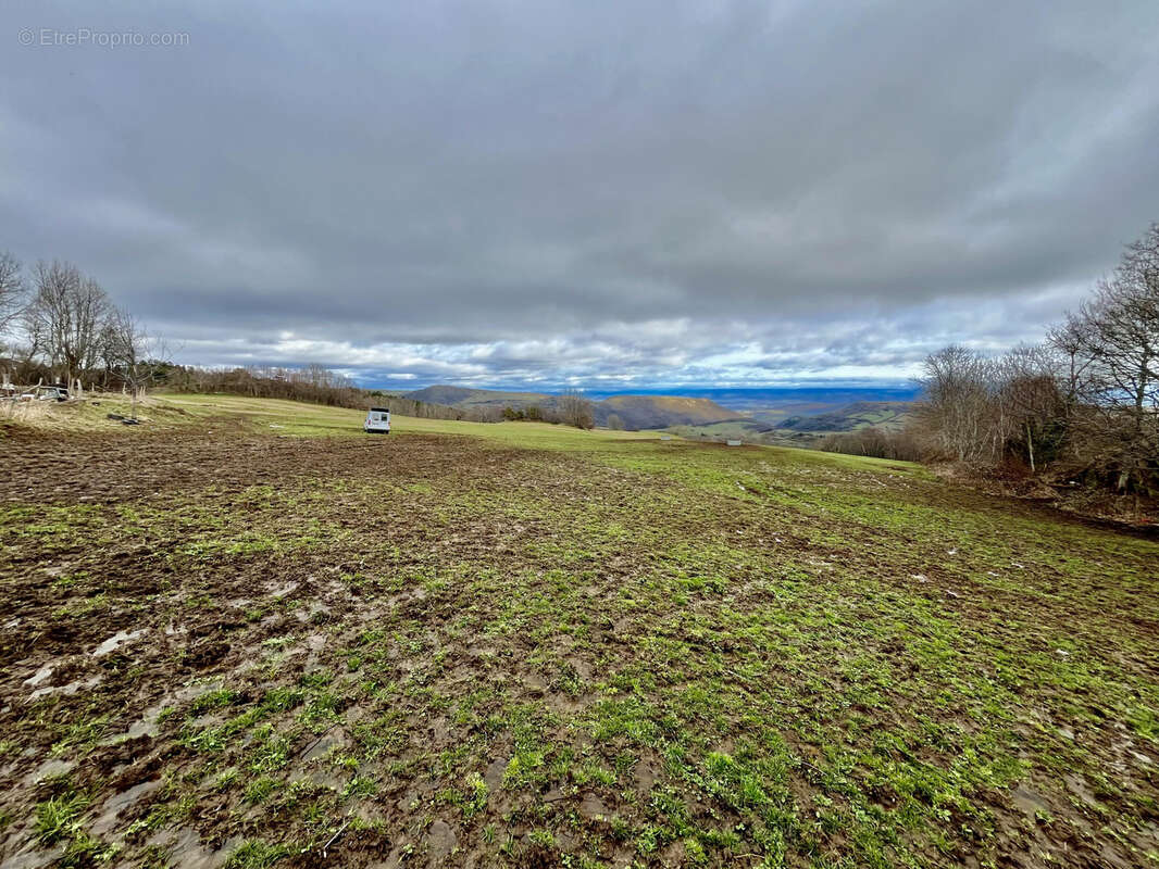Maison plain-pied de 2008 sur 4ha de terrain - photo 2