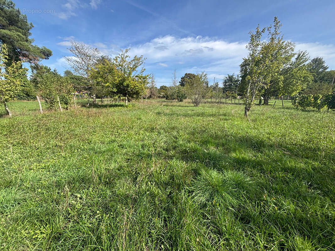 Maison à SAINT-DENIS-DE-PILE
