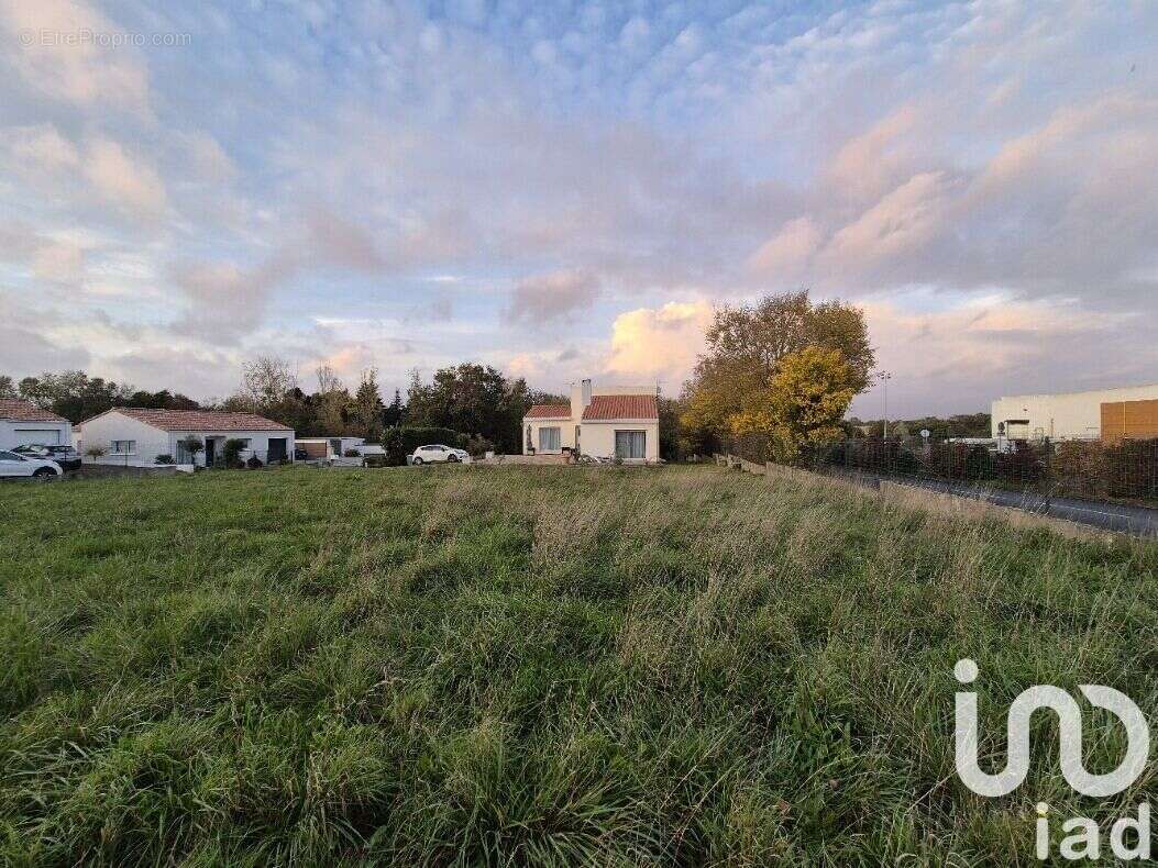 Photo 3 - Terrain à TALMONT-SAINT-HILAIRE