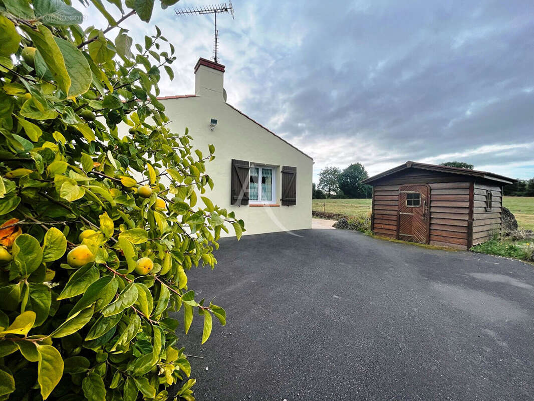 Maison à LE FENOUILLER