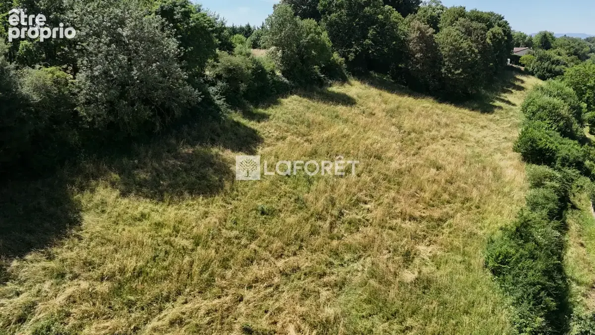 Terrain à vendre Chatillon Sur Chalaronne 11049 m2 - photo 3