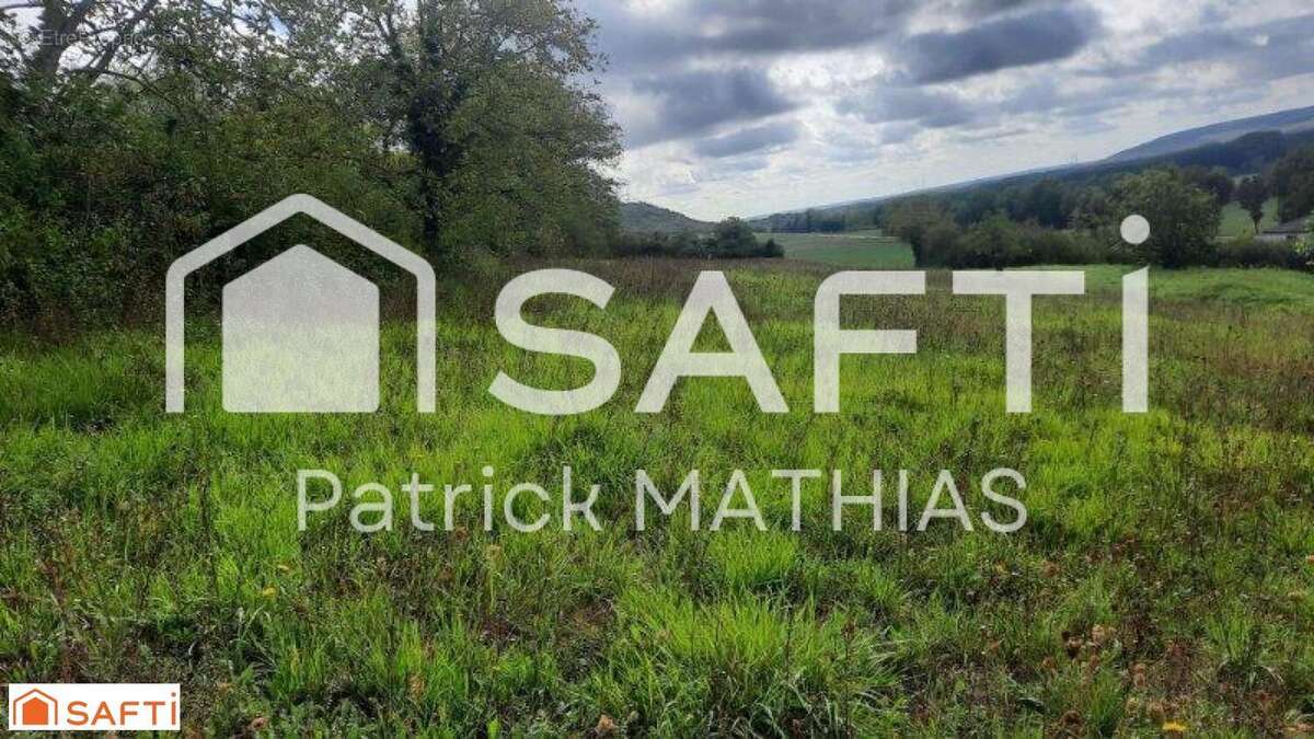 Photo 2 - Terrain à SAINT-AUBIN-SUR-YONNE