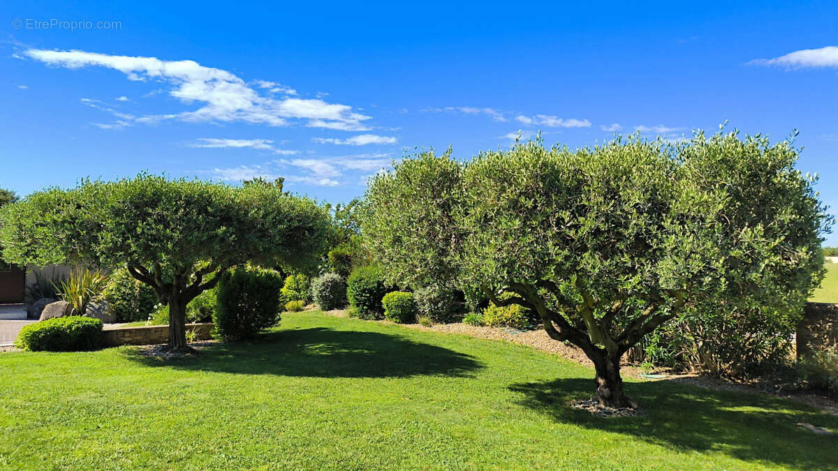 Propriété d’exception avec piscine et 3 600 m2 en bordure de campagne près d’Uzès - photo 20