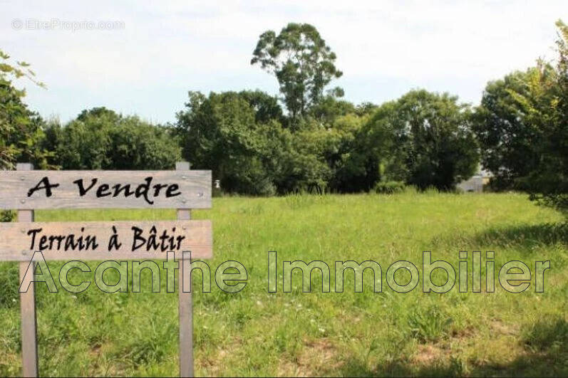 Terrain à ASSAS