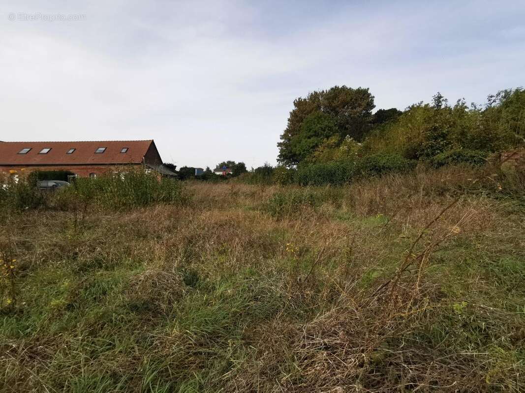 Terrain à MARQUION