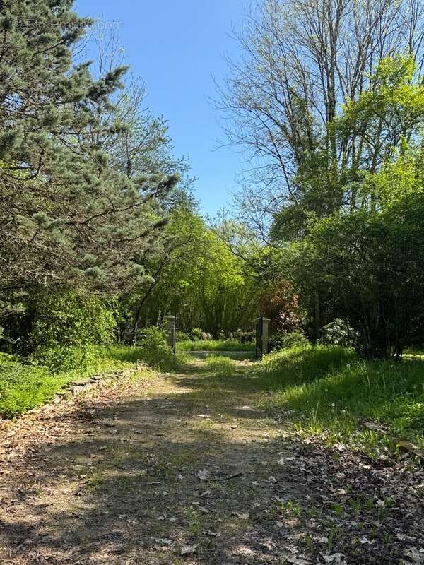 Maison à FRESSELINES