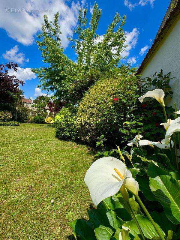 Le Raincy!!! Maison familiale 4 chambres sur + de 475 m² de terrain - photo 3