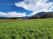 Terrain à MONTAUT