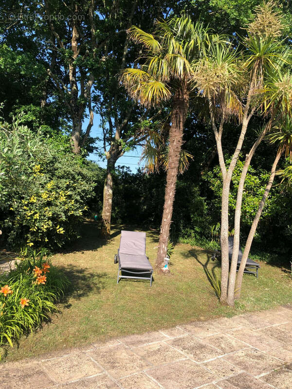 Maison à SAINT-ANDRE-DES-EAUX