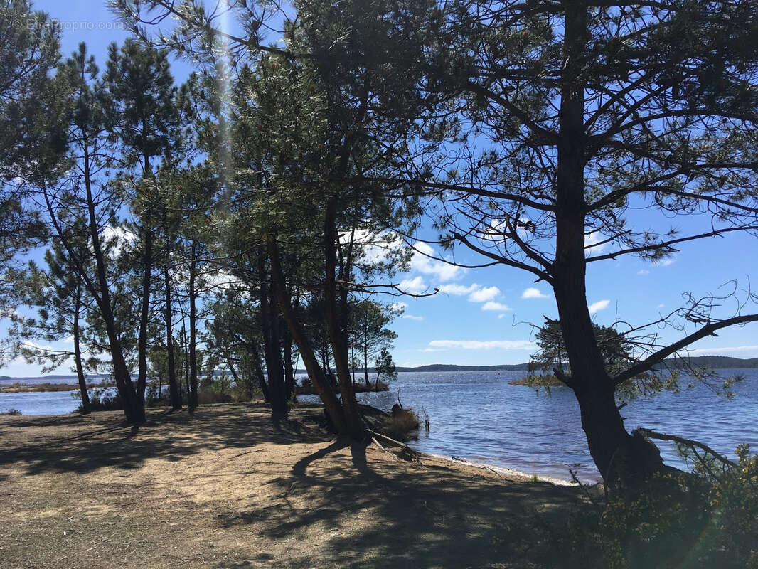 Maison à LEGE-CAP-FERRET