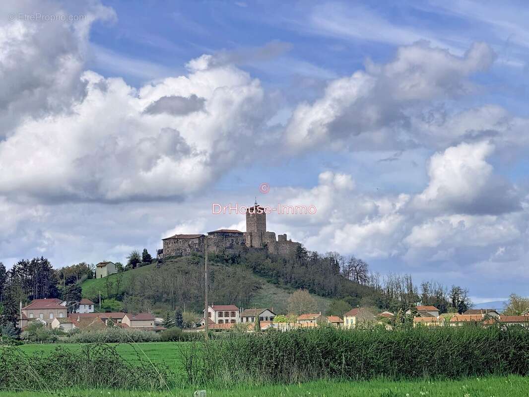 Terrain à MONTVERDUN
