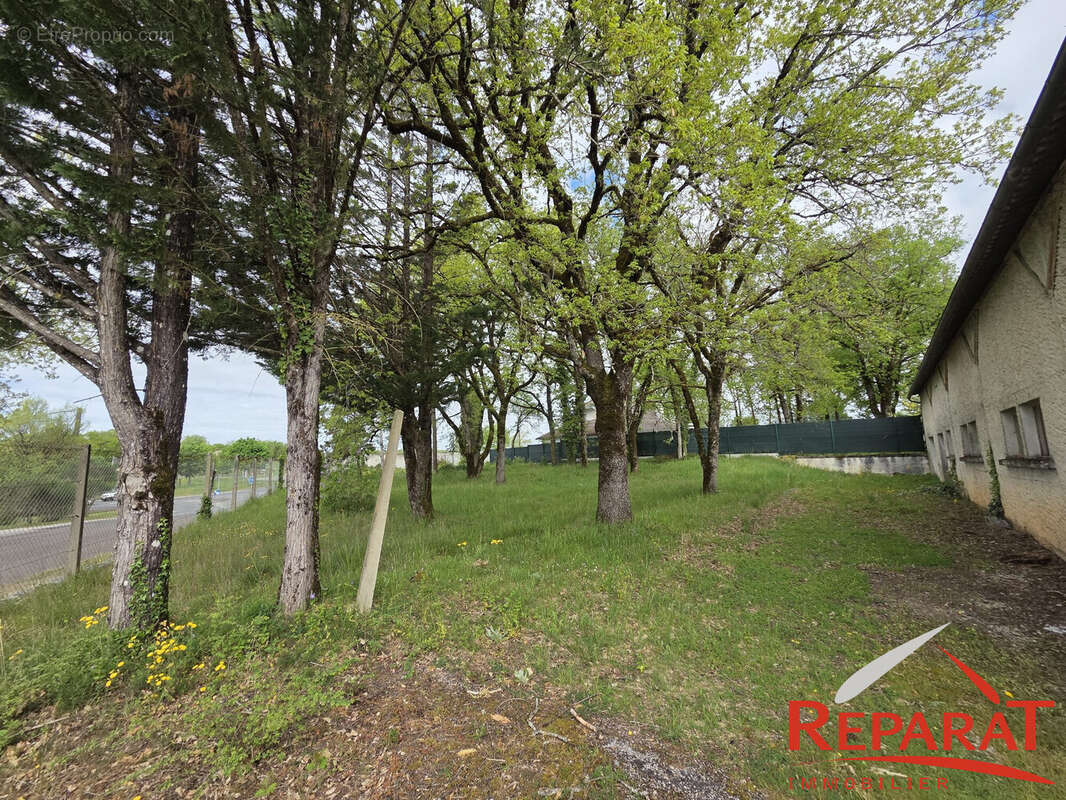 Commerce à NESPOULS