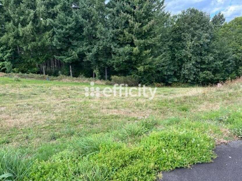 Terrain à LA MONNERIE-LE-MONTEL