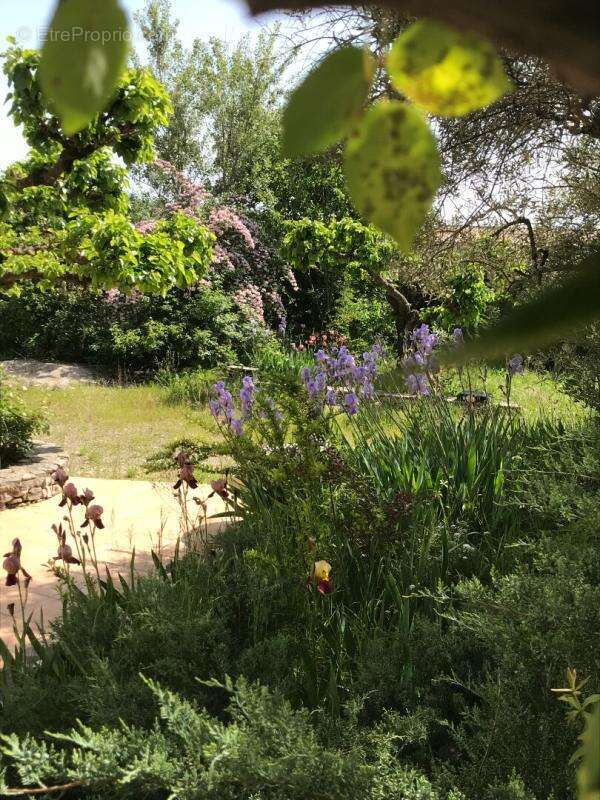 Maison à SAINT-SAUVEUR-DE-CRUZIERES
