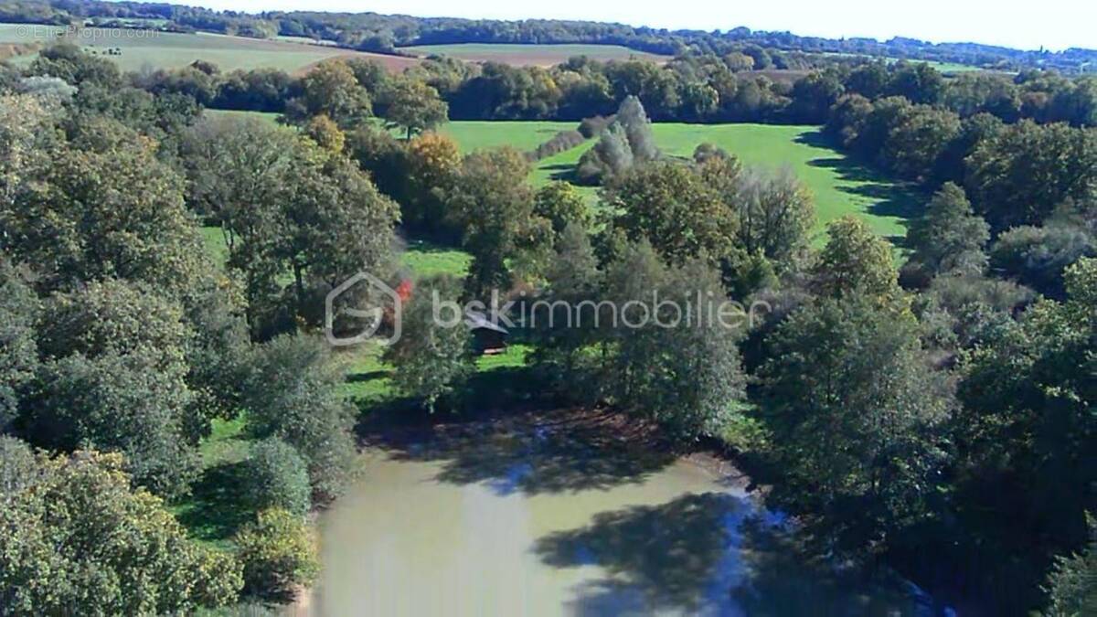 Terrain à SAINT-SAUVEUR-EN-PUISAYE