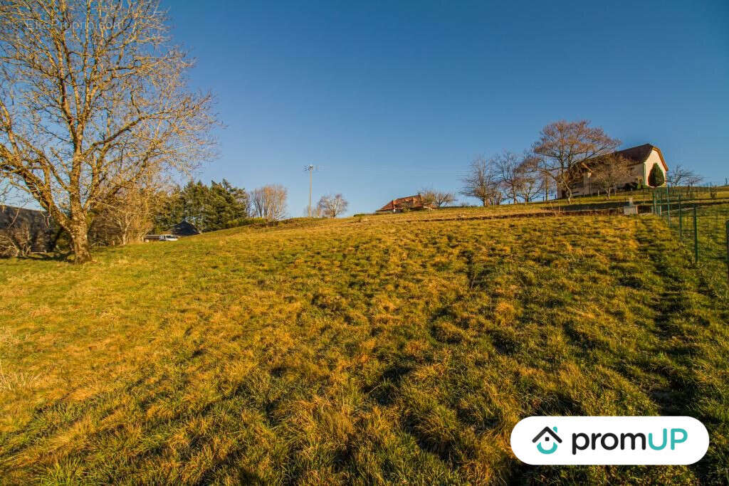 Terrain à SAINTE-FORTUNADE