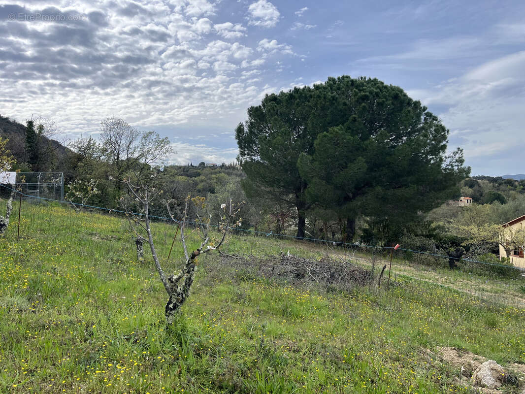 Terrain à CERET