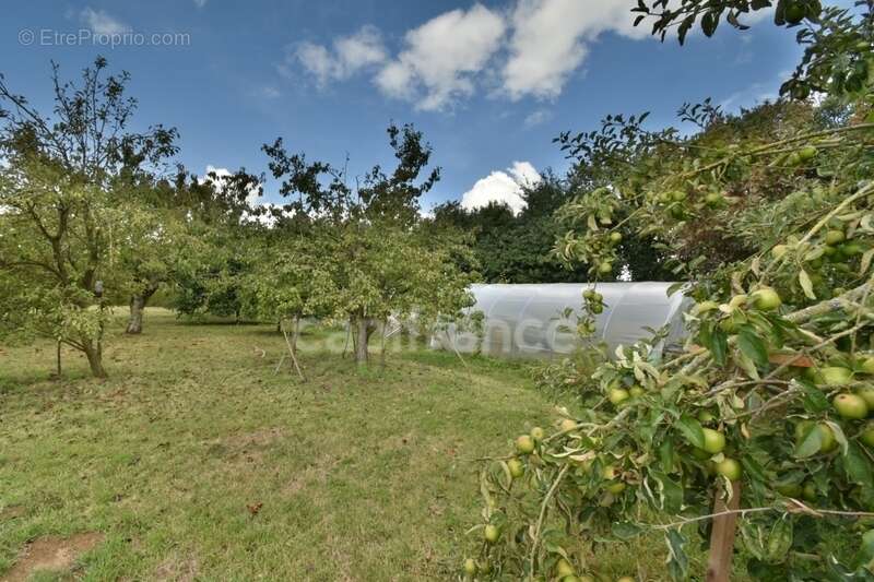 Maison 3 chambres sur plus de 4900 m2 de jardin - photo 7