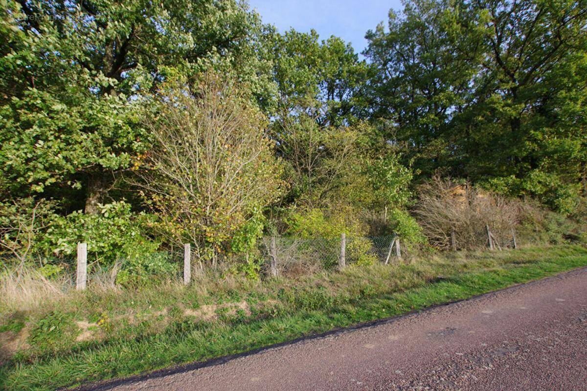 Terrain à SAINT-GERMAIN-DES-PRES