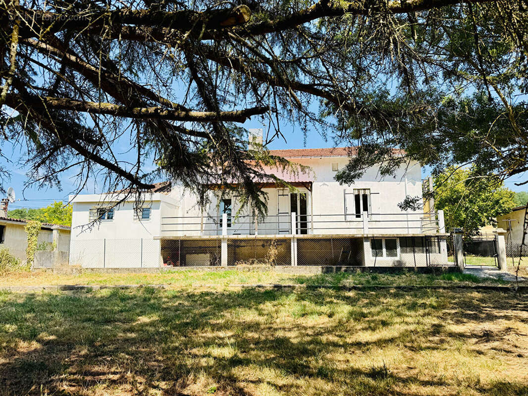 Maison avec grand parc - photo 4