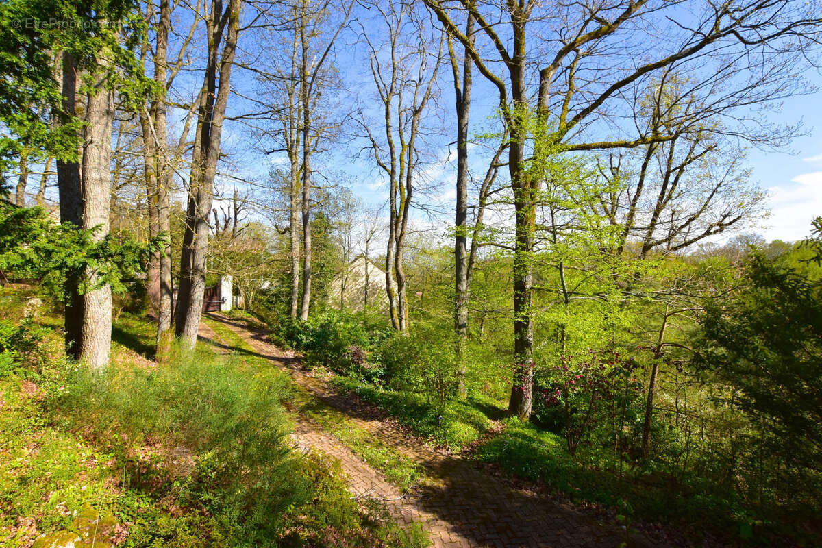 Maison à LES ESSARTS-LE-ROI