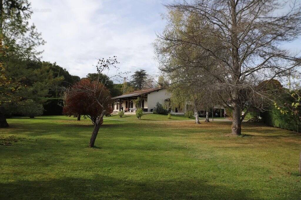 Maison à SAINT-JEAN-DU-FALGA