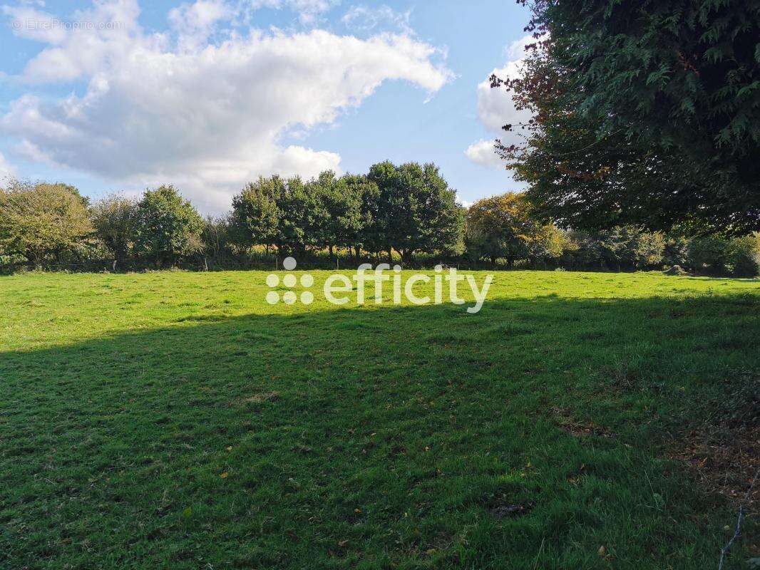 Maison à SAINT-SEVER-CALVADOS