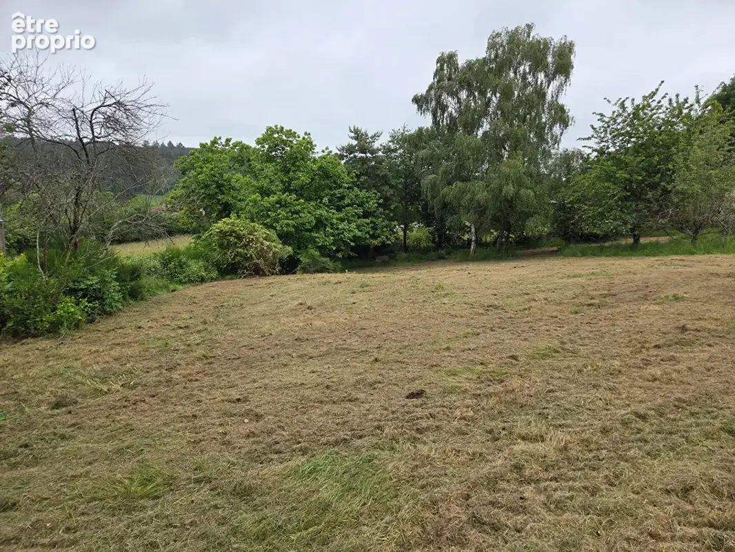 Terrain constructible de 2402m² - photo 2