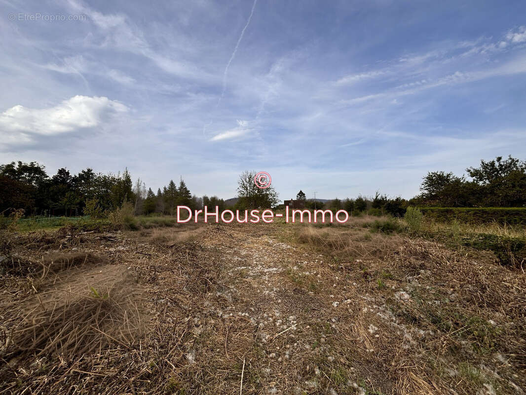 Terrain à PRESEAU