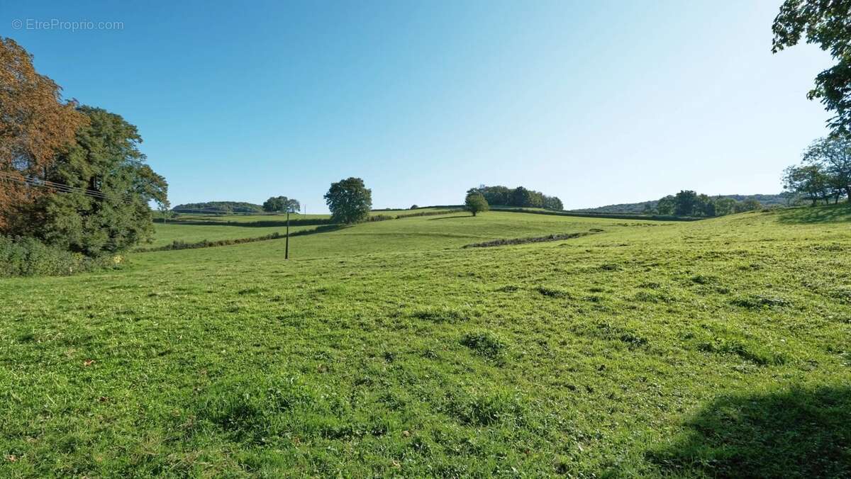 Maison à SAINT-MARTIN-DU-PUY