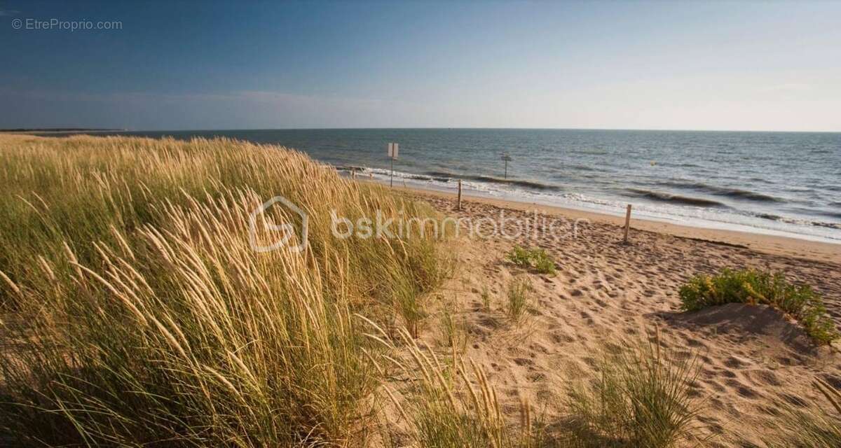 Commerce à LA BARRE-DE-MONTS