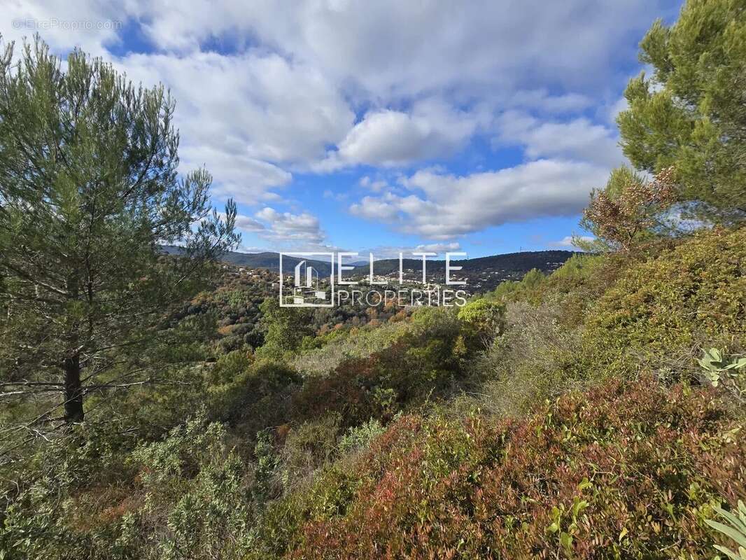 Terrain à LE TIGNET