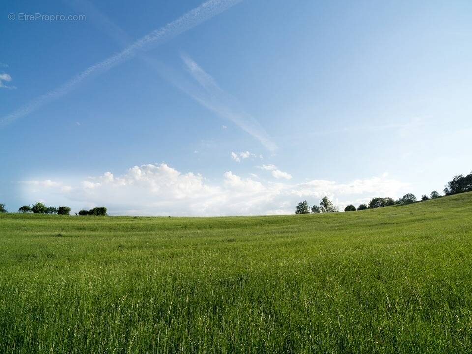 Terrain à POMEROLS