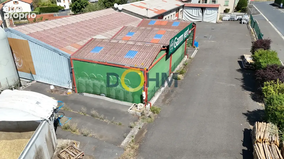 Ensemble immobilier professionnel, local commercial, dépôt, atelier, garage... - photo 5