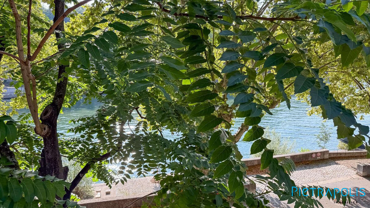 Appartement à LYON-1E