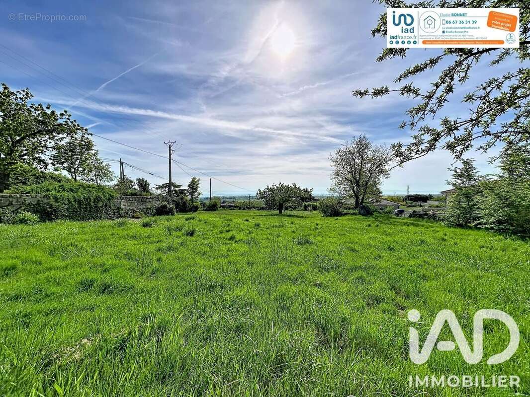 Terrain 681 m² à Peaugres  - photo 3