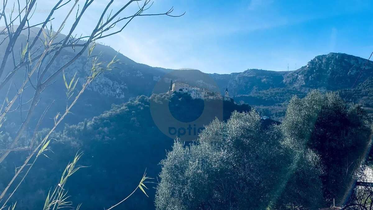 Terrain à GORBIO