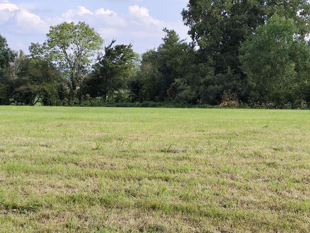Maison à LES AULNEAUX