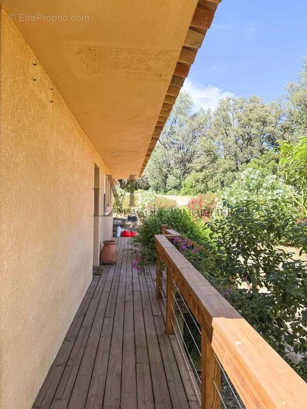 Villa T3 - Terrains 1 500 m2 - Porto-Vecchio - photo 8