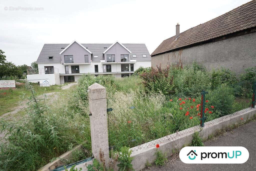 Terrain à HIRTZFELDEN