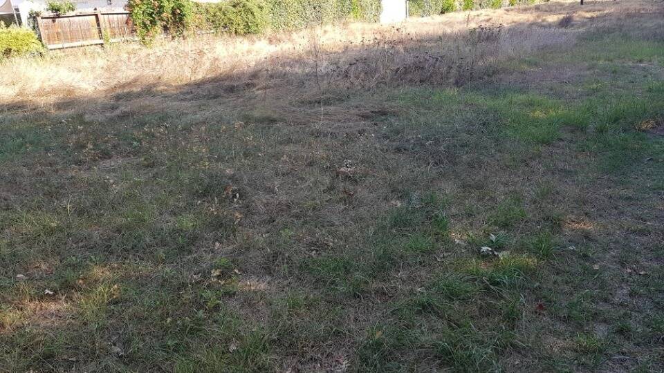 Terrain à LE TAILLAN-MEDOC