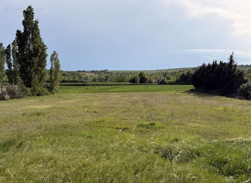 Terrain à AVIGNONET-LAURAGAIS