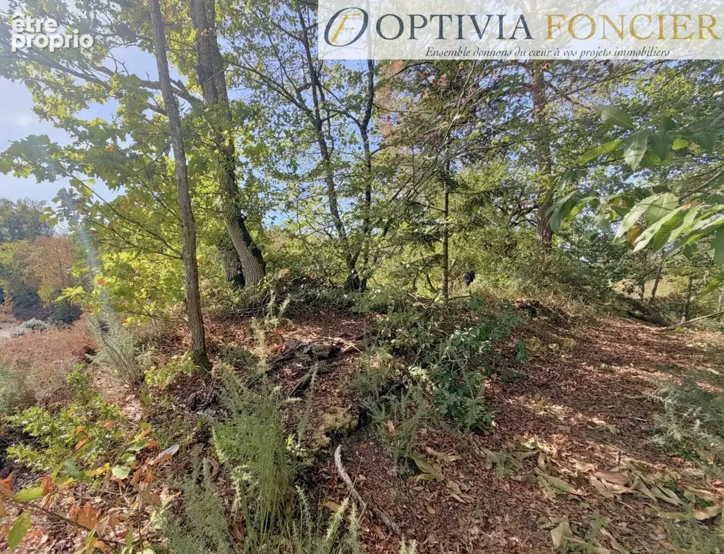 Terrain constructible d'environ 900 m2 sur Pont-Réan hors zone inondable - photo 6