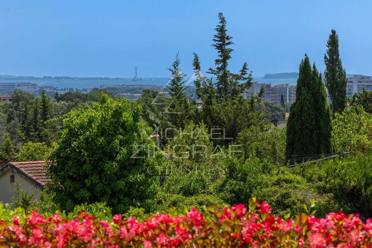 Proche Cannes - Villa Belle époque - Vue mer - Mandelieu la Napoule. - photo 3