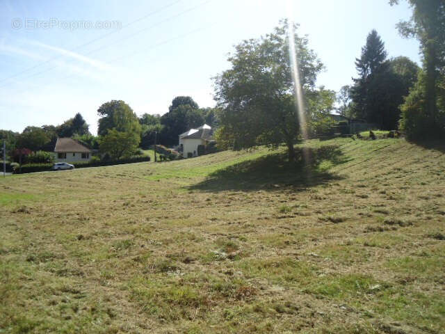 Terrain à SAINT-SORNIN-LAVOLPS